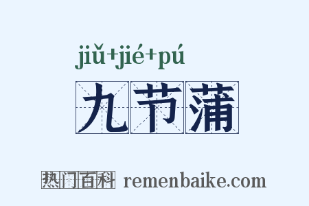九节蒲是什么意思的图片